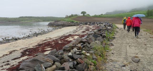 Ausflug in Bodö: Küstenwanderung (Nr. 4B) Strandspaziergang bei Bodö