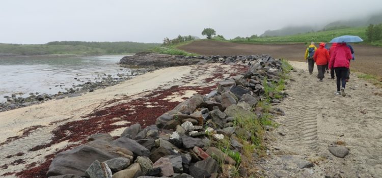 Ausflug in Bodö: Küstenwanderung (Nr. 4B) Strandspaziergang bei Bodö