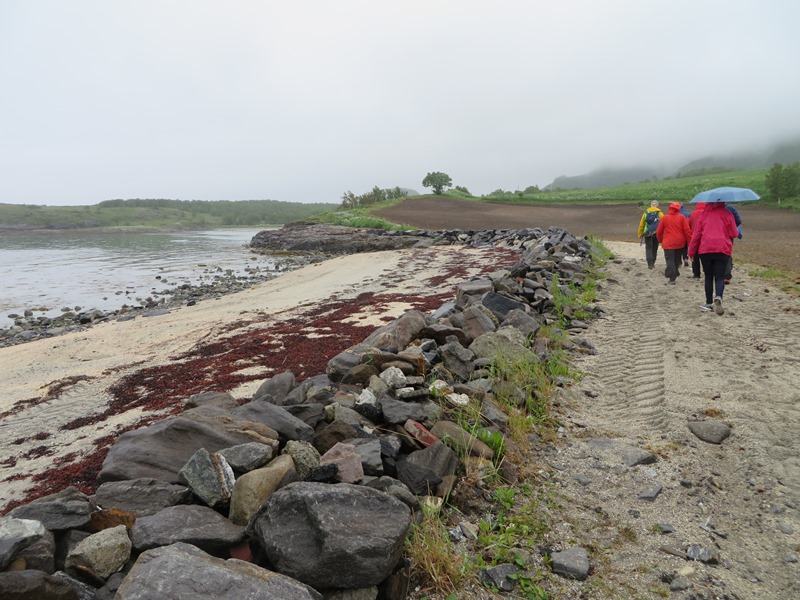 Strandspaziergang bei Bodö