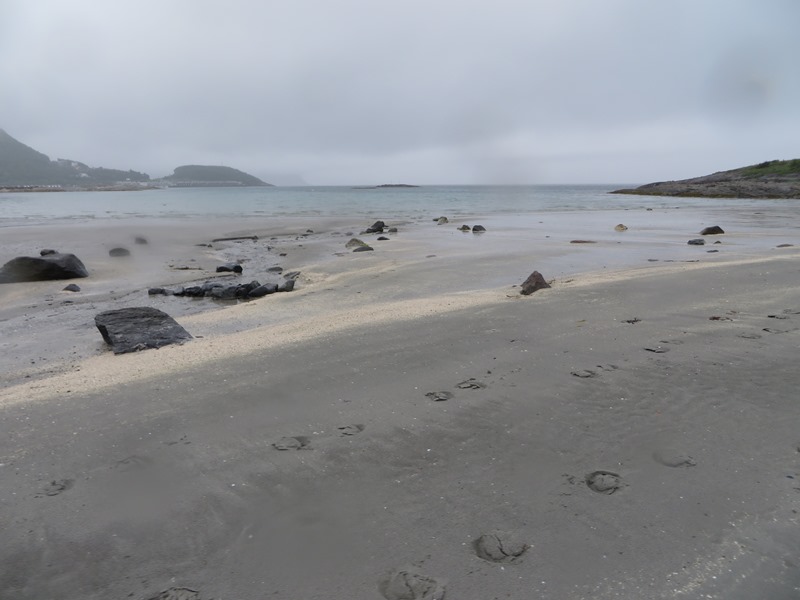 Hufspuren am Strand in Norwegen bei Bodö