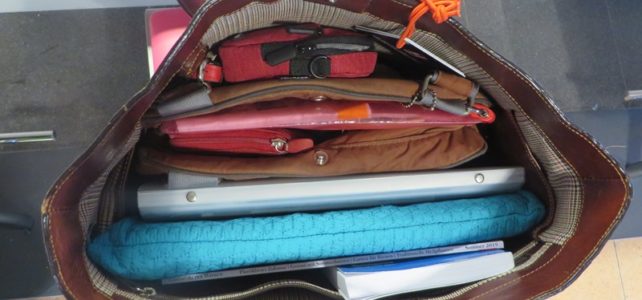 Handgepäck: das Gesamtgewicht Handtasche von innen Flugreise