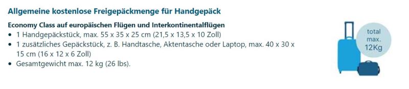 Informationen Handgepäck KLM