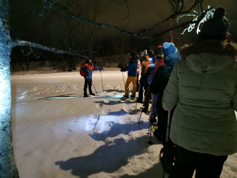 Gruppe Schneeschuhwandern Tromsö