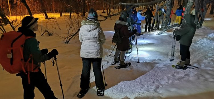 Ausflug in Tromsö: Schneeschuhwandern (Nr.5N) schneeschuhwanderung tromsö