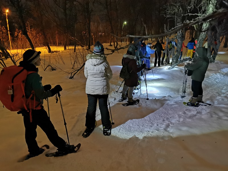 schneeschuhwanderung tromsö